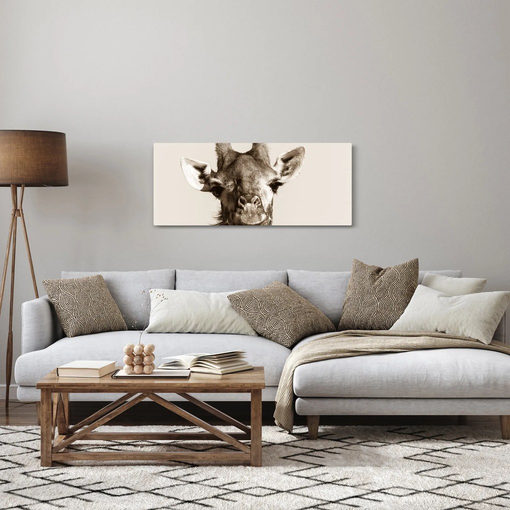 Kép - Zsiráf portré, vintage (120x50 cm)