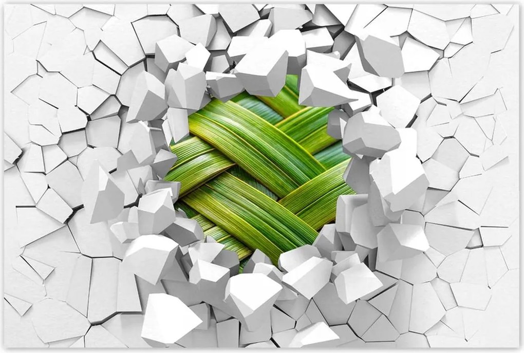 Poszterek 60x40 Zöld fonott Zöld rattan fonott lemez