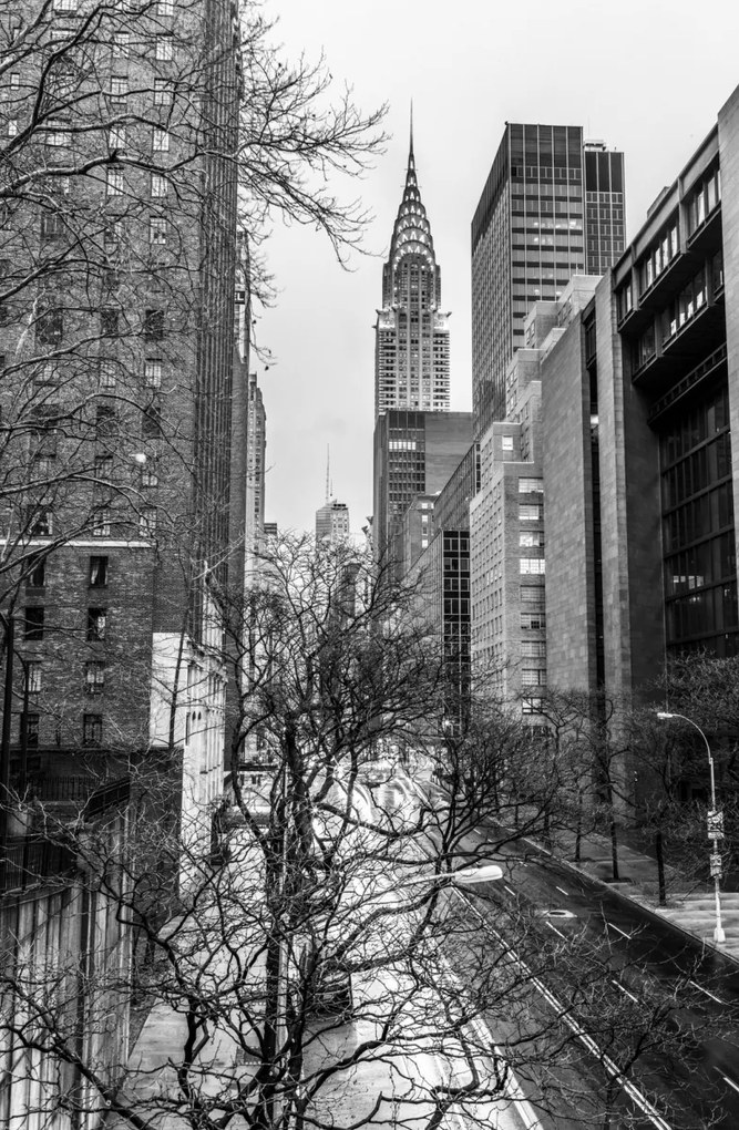 Poszter 53x81cm Chrysler Building New York 2, Assaf Frank