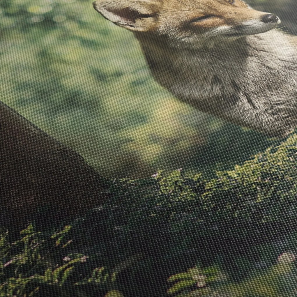 Róka képe (120x50 cm)