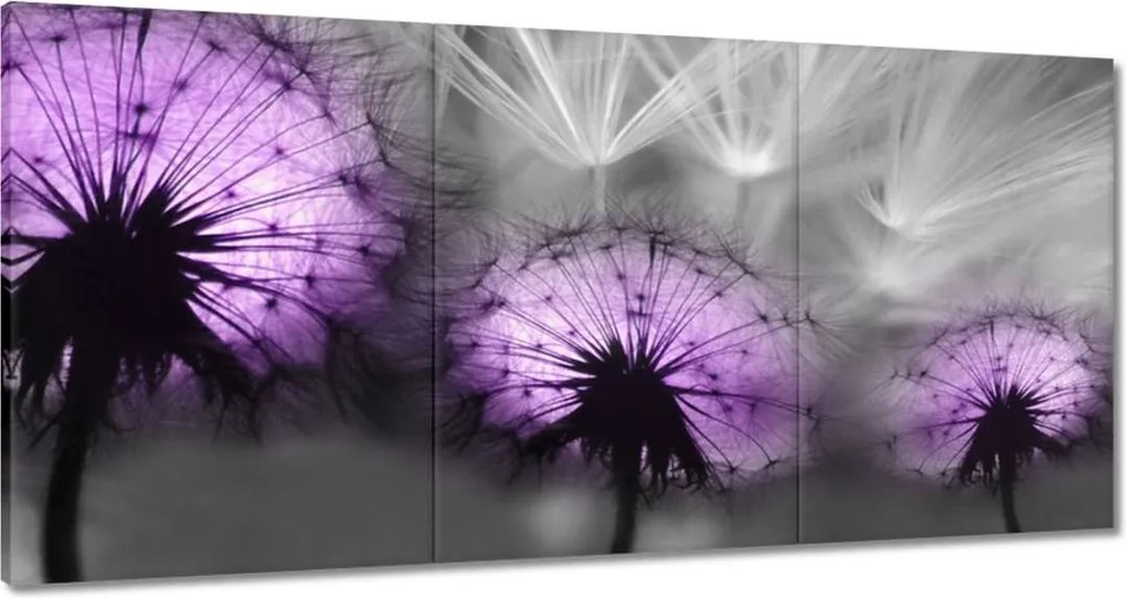 Vászonkép 60x30 Tükröződés a vízben Sárkányok