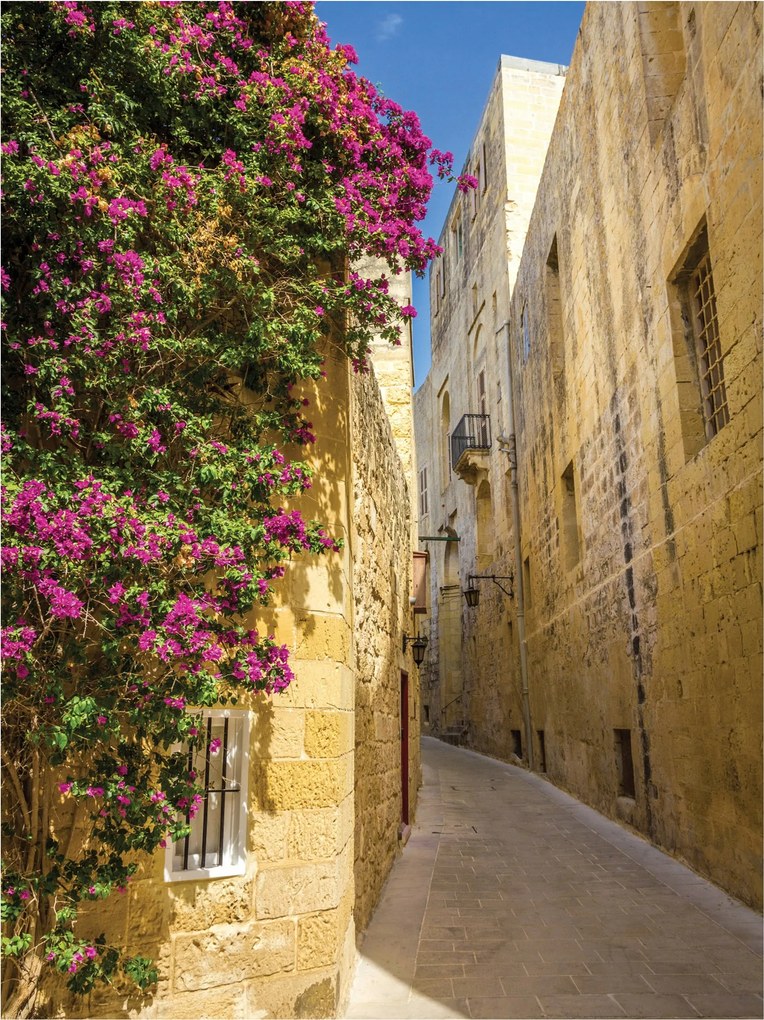 Fotótapéta Utca virágokkal kő vinil 184x254 +ragasztó