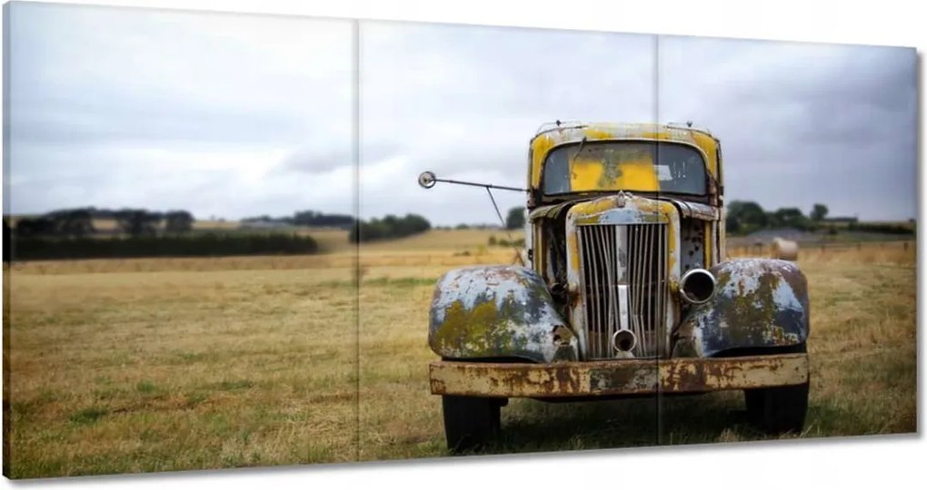 Festmények 180x90 Oldtime Rost Style