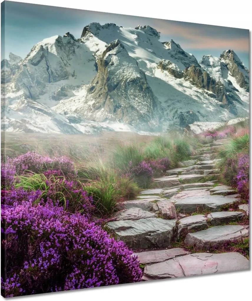 Vászonkép 60x60 Hegyi táj Tájkép