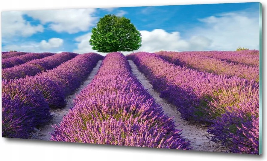 Fotó üveg kép Naplemente hegyek 100x70