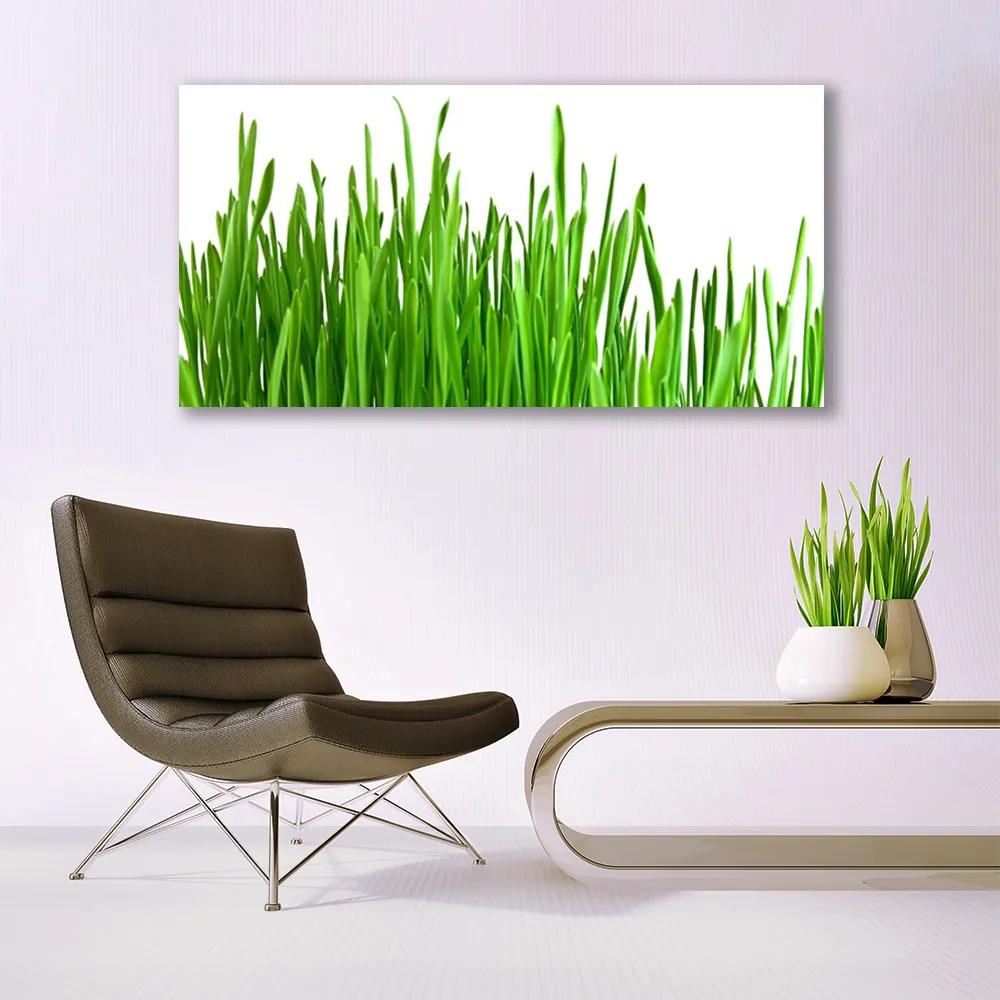 Akrilkép Grass Nature Plant 120x60 cm