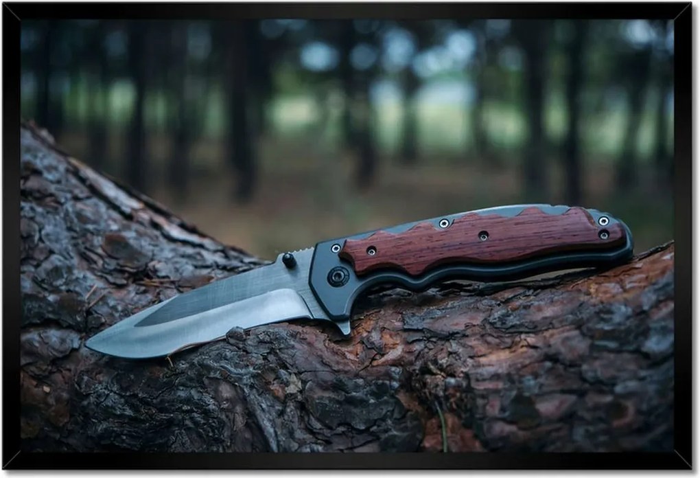 Poszterek keretben 60x40 Fatörzsön fekvő kés
