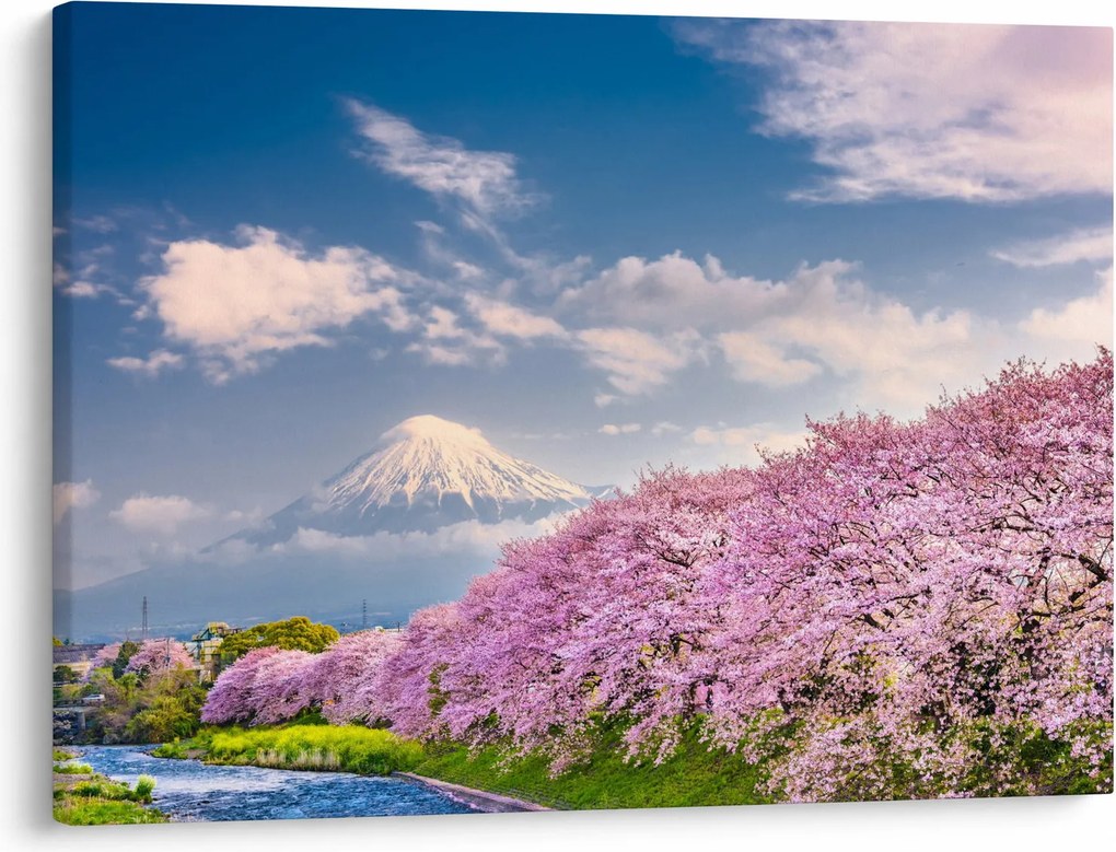 Kép - Japán tavaszi táj (70x50 cm)