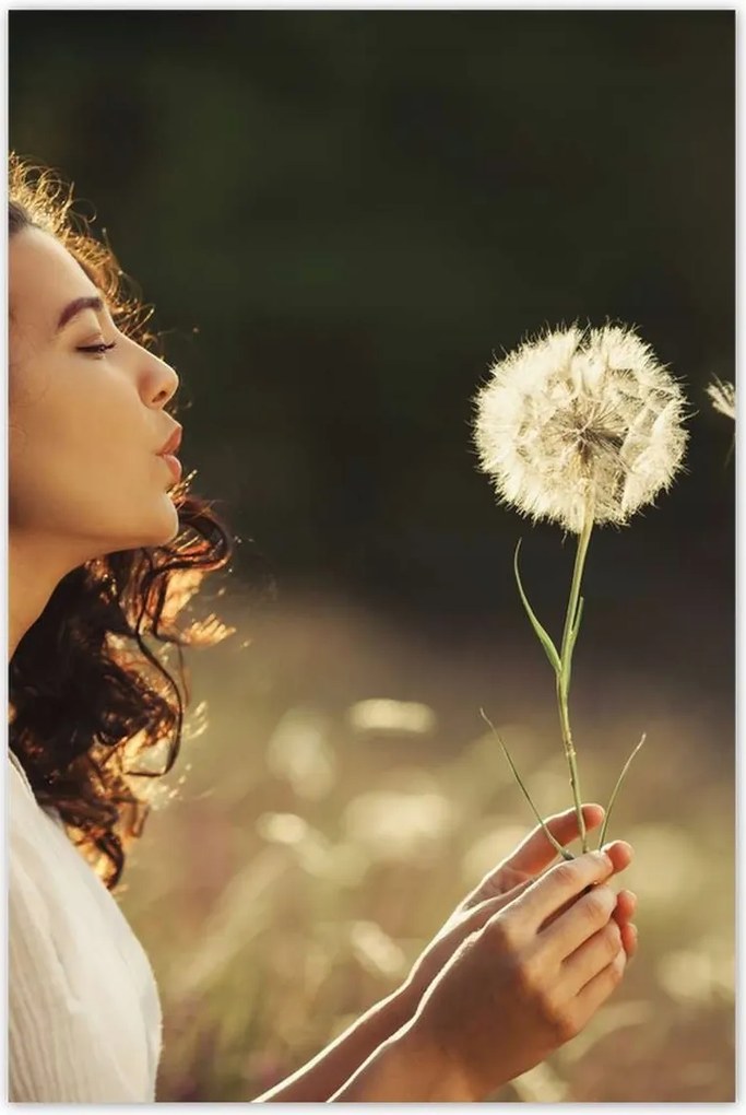 Poszterek 80x120 Fújás a szélben