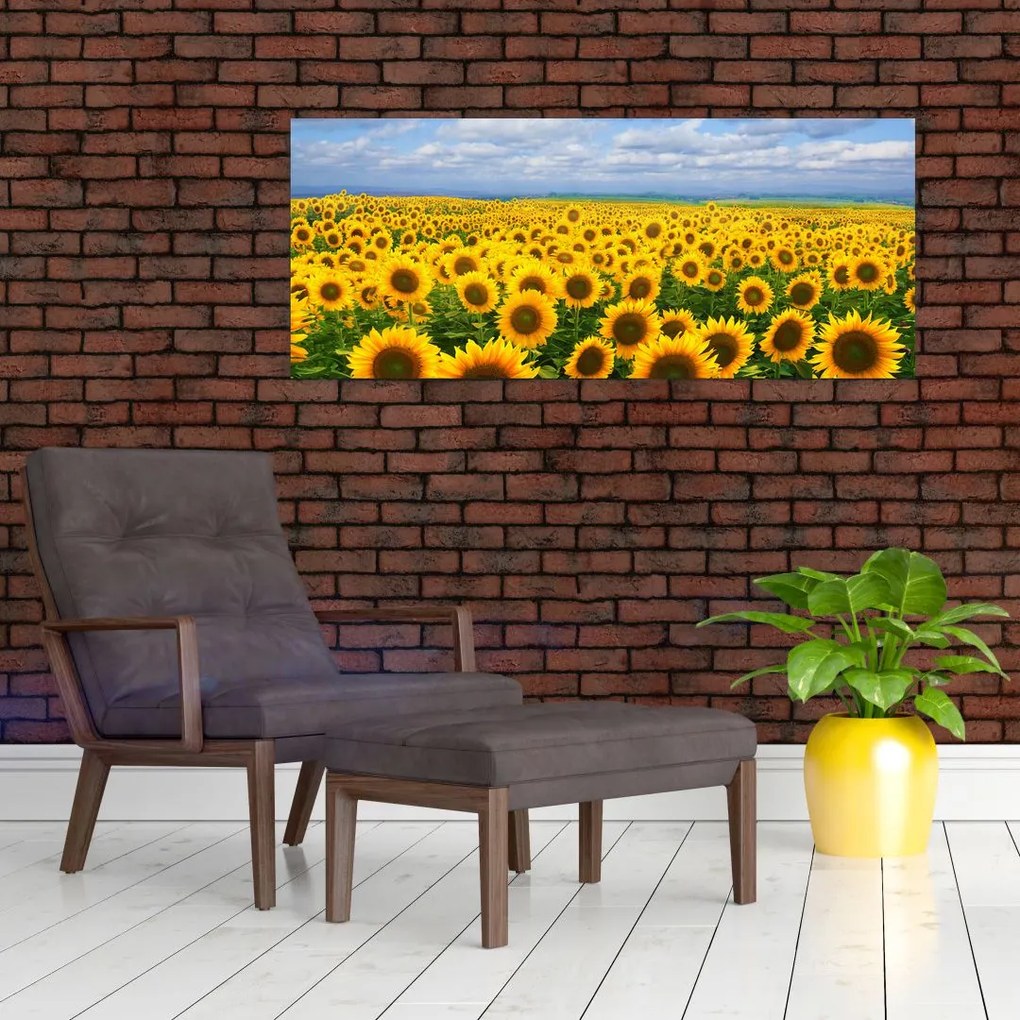 A napraforgó mező képe (120x50 cm)