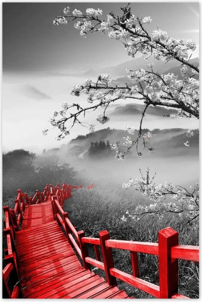 Poszterek 80x120 Virágzó cseresznye Japán