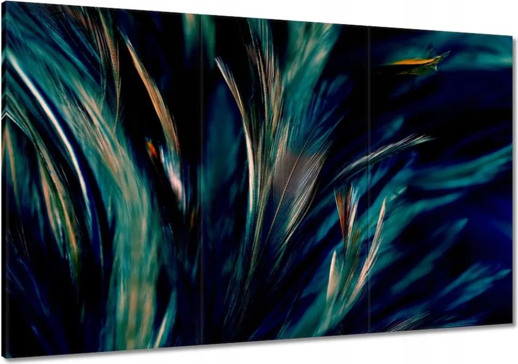 Vászonkép 120x80 Puha pávatollak