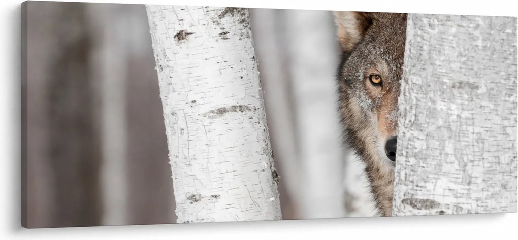 Kép - Farkas (120x50 cm)