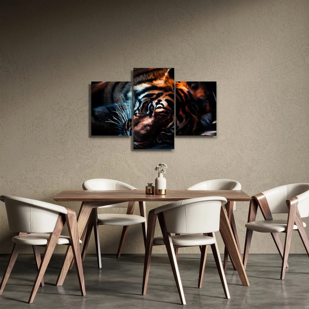 Egy fekvő tigris képe (90x60 cm)