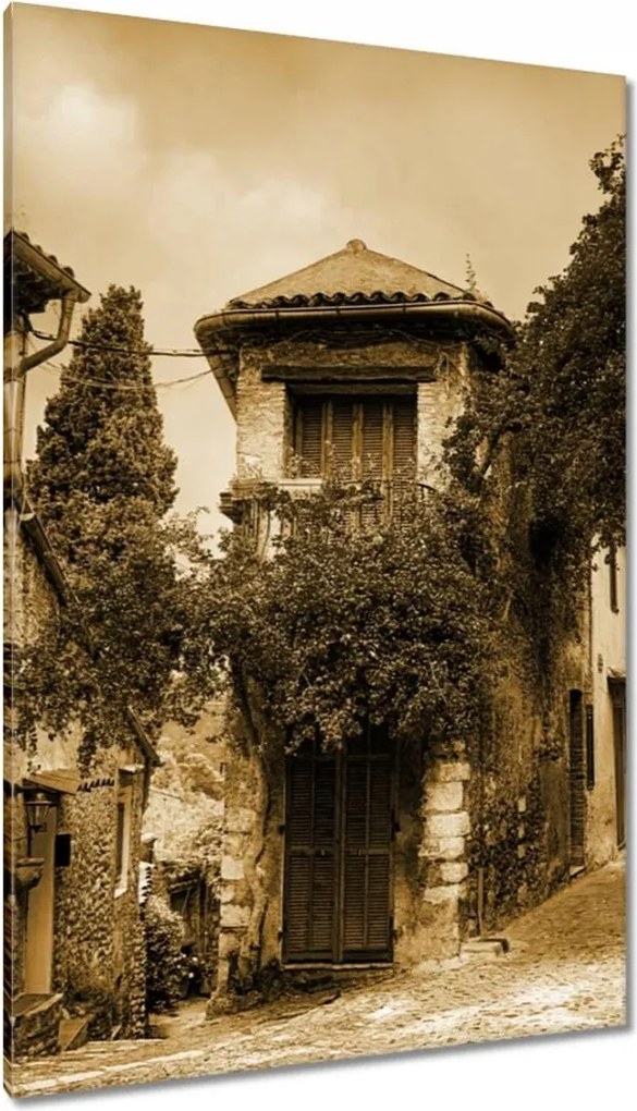 Vászonkép 80x120 Kő virágokkal