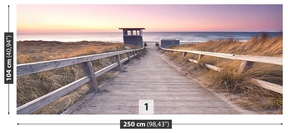 Fotótapéta path Balti-tenger 104x70 cm
