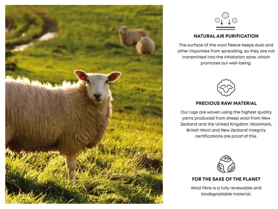 Bézs gyapjú szőnyeg 200x300 cm Archie beige – Agnella