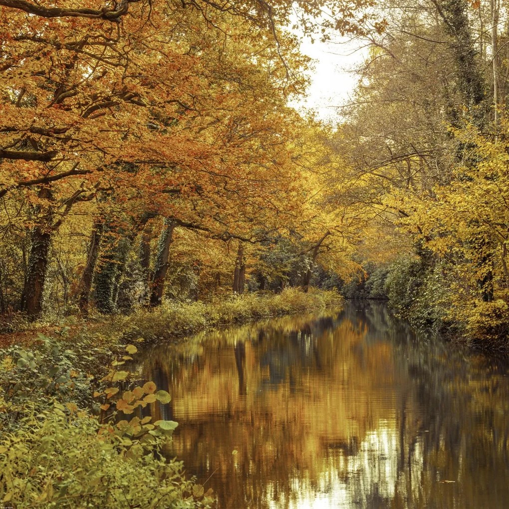 Poszter 70x70cm Csatorna az erdőben 2, Assaf Frank