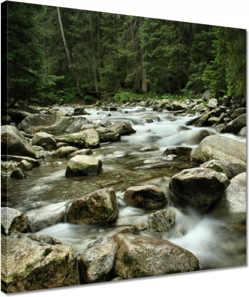 Vászonkép 40x40 Tátra Lengyel hegyek Kilátás