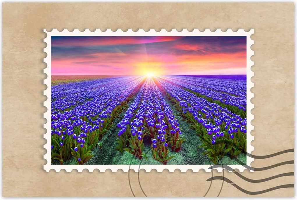 Poszterek 90x60 Tulipánok tengere Tulipánok