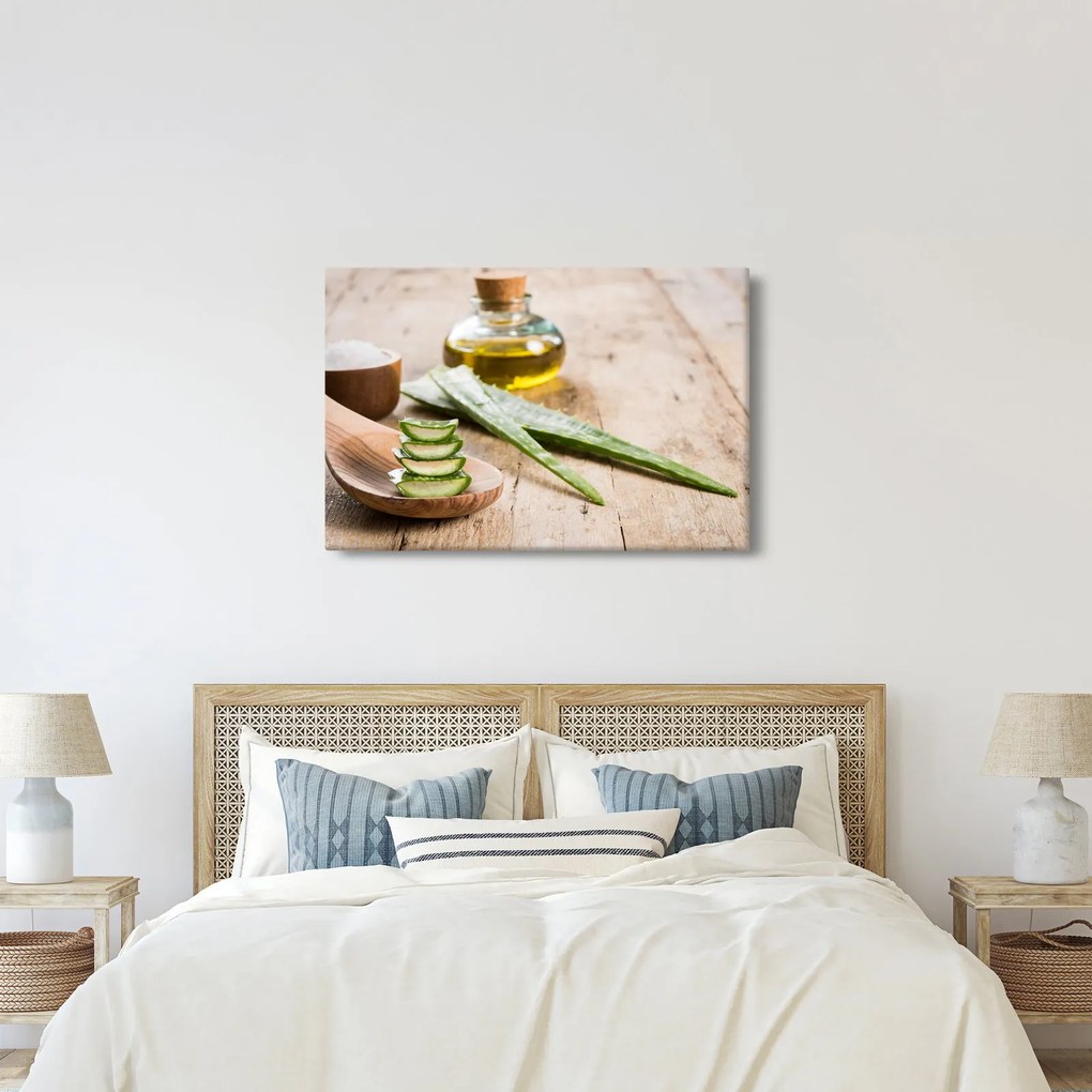 Kép - Aloe vera (90x60 cm)