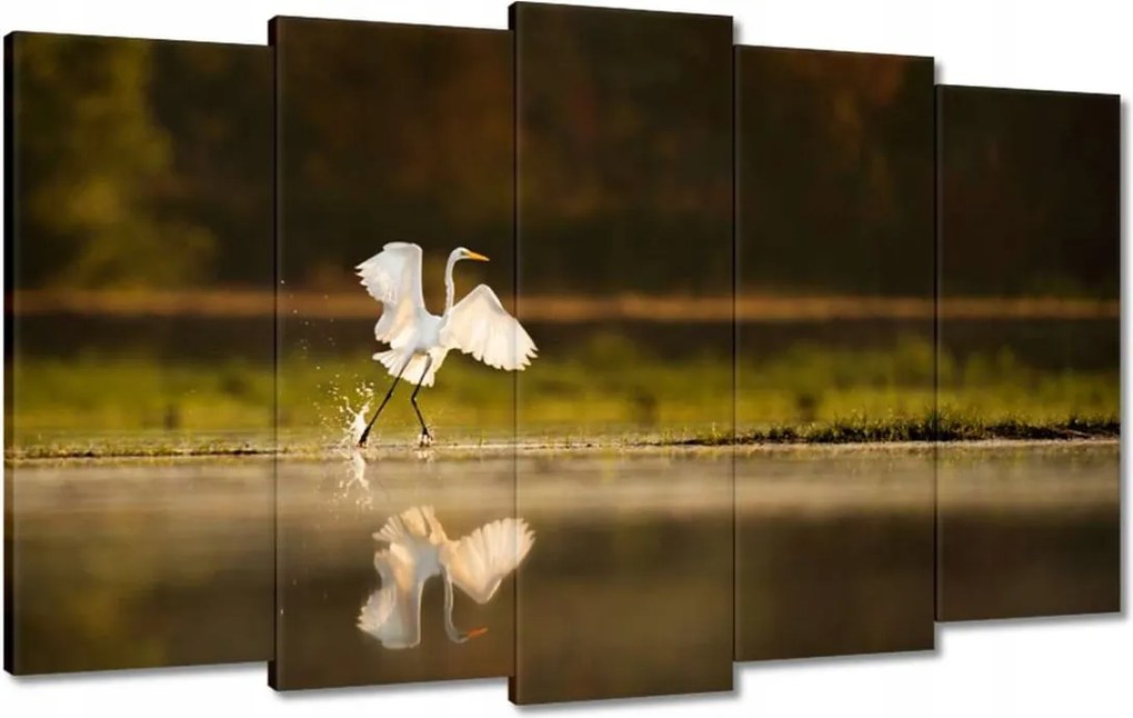 Vászonkép 100x60 Madarak