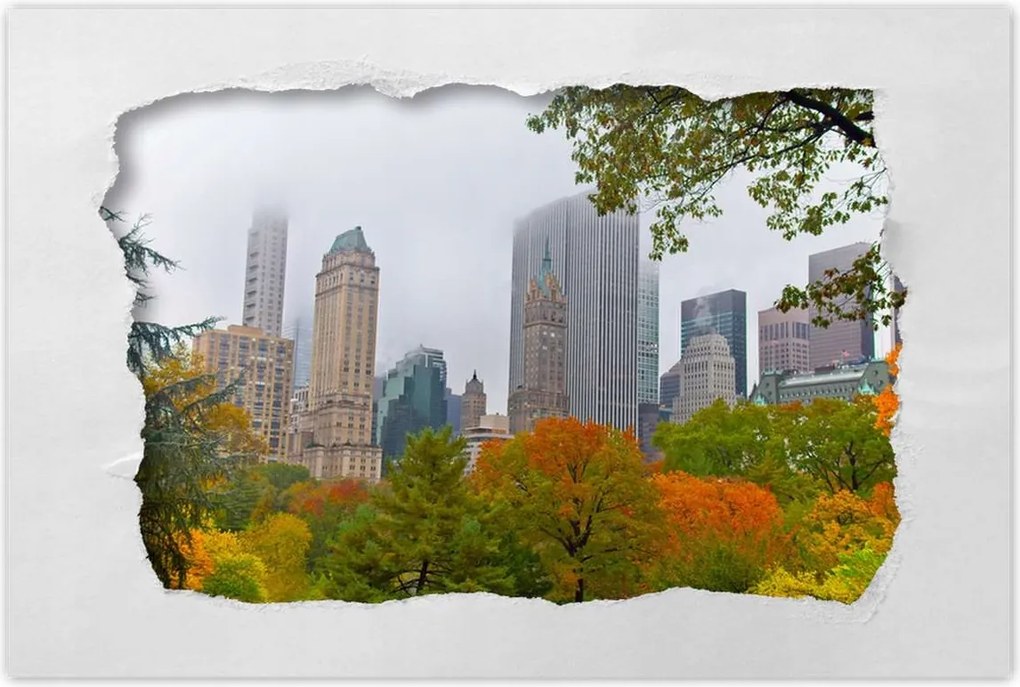 Poszterek 60x40 Central Park New York Usa