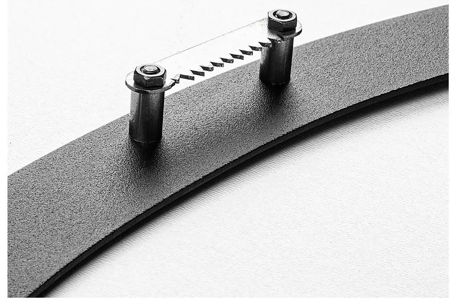 Fém fali dekoráció 47x66 cm Branch & Birds – Wallity