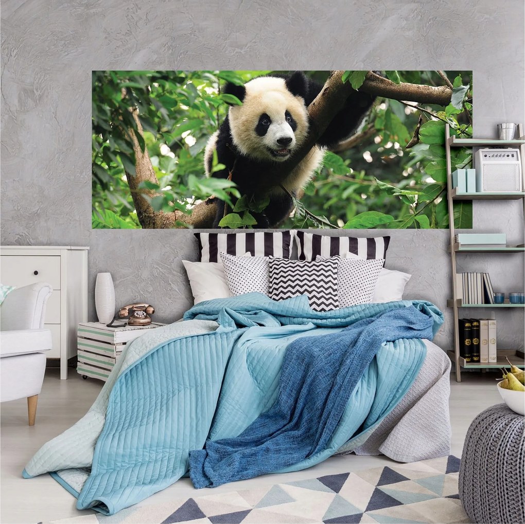 Fotótapéta flizelina Panda a bambusz erdőben a természet harmóniája 250x104 +ragasztó