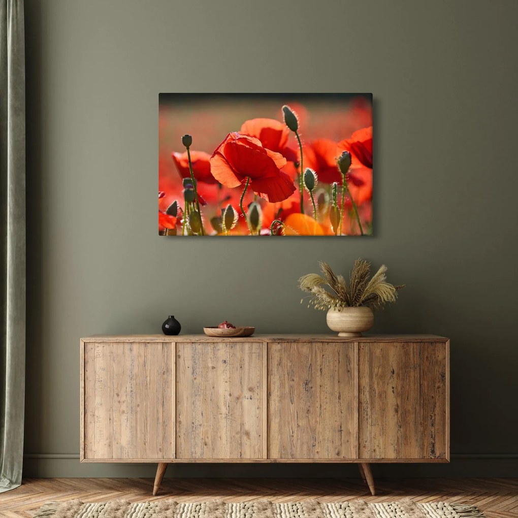 Pipacsok képe (90x60 cm)