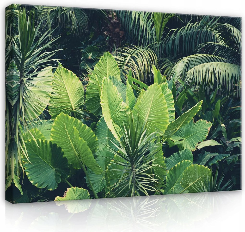 Vászonkép falikép zöld trópusi levelek pálma 100 x 75
