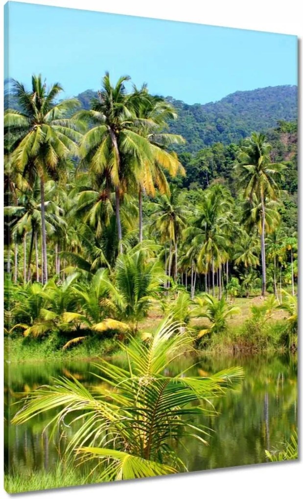 Vászonkép 70x100 Gyönyörű amazon