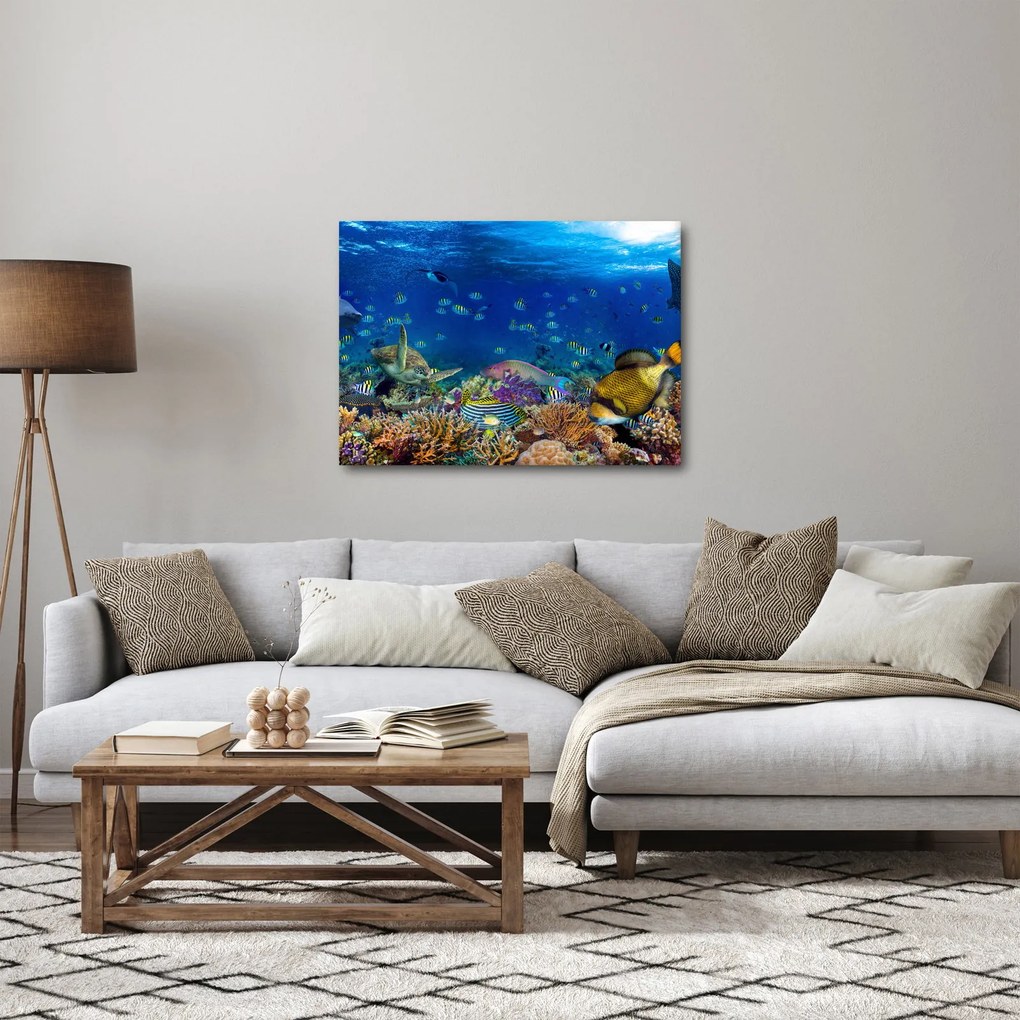 Kép - Óceán (70x50 cm)
