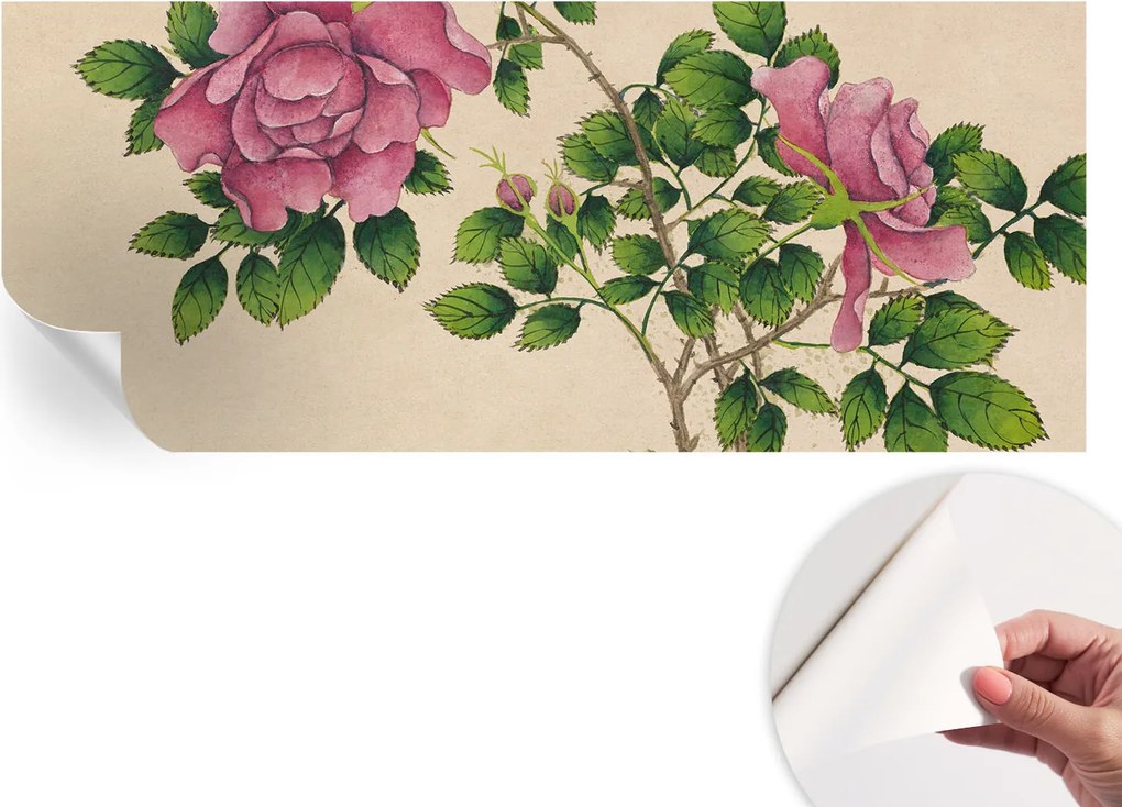 Design fali fotótapéta öntapadós Romantikus rózsák 250x104 cm