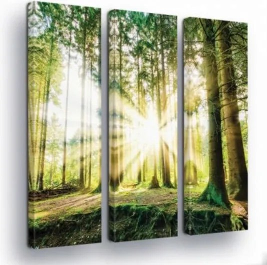 Vászonkép 90x100 Napsütötte erdő napsugarak erdei ösvény természet zöld