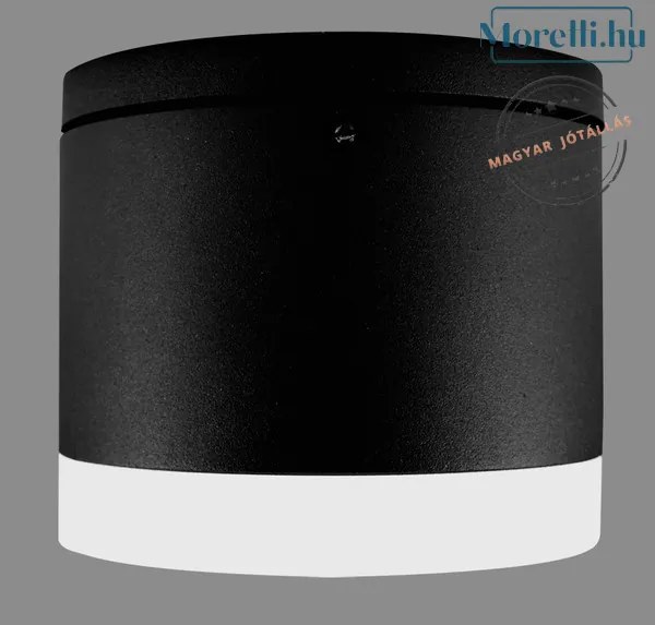 PALNAS 66001517 BRUNO Modern Kültéri Mennyezeti Lámpa LED IP54