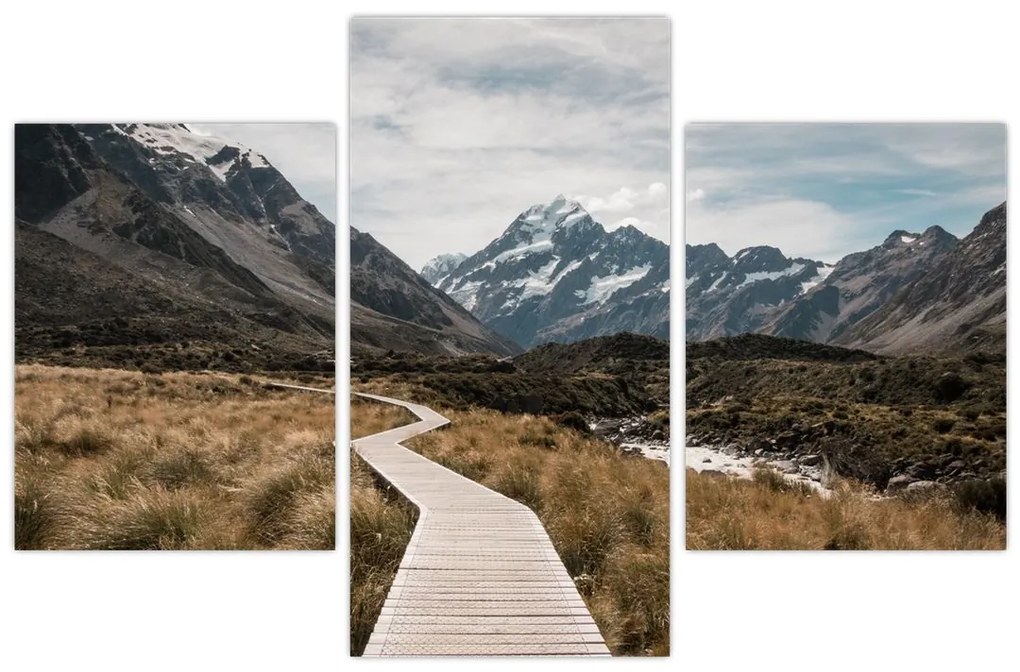 Kép - Sétány a hegységben Mt. Cook (90x60 cm)