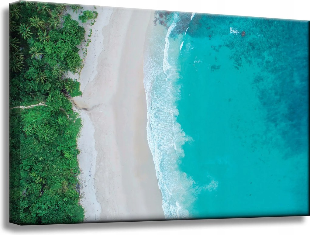 Vászonkép Víz Hullámok Tengerpart Fák Természet 60x40 cm