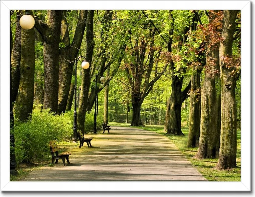 Poszterek keretben 40x30 Citadella park