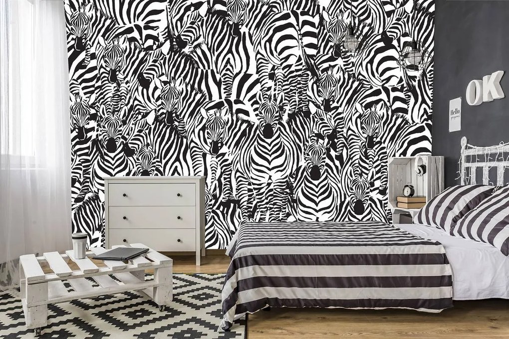Fotótapéta - Zebra (152,5x104 cm)