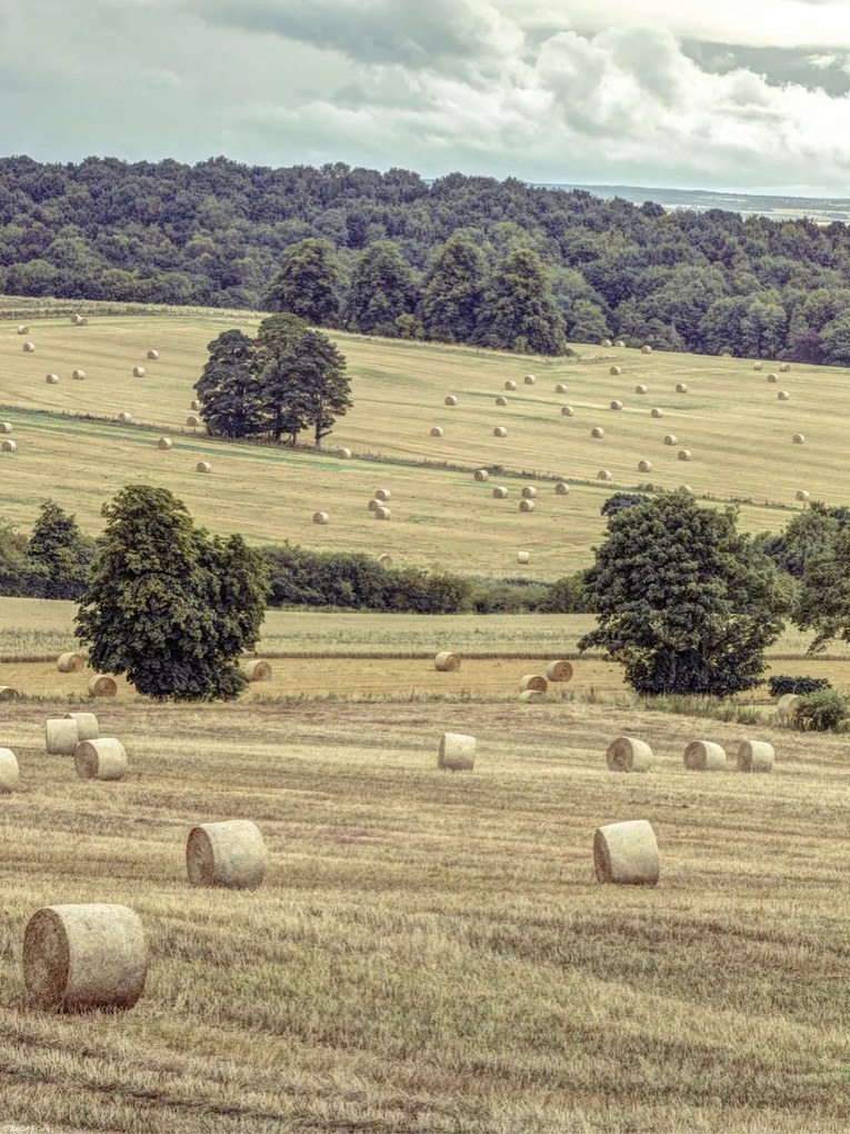 Poszter 30x40cm Szénakazalok a mezőkön 2, Assaf Frank