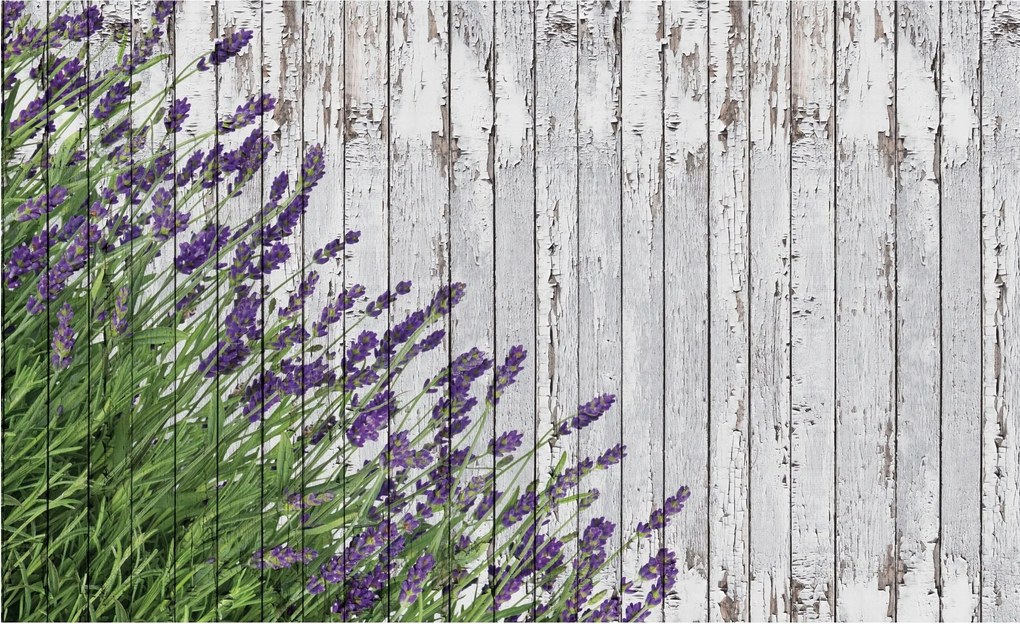 Fotótapéta virág deszka fotótapéta 254 x 184