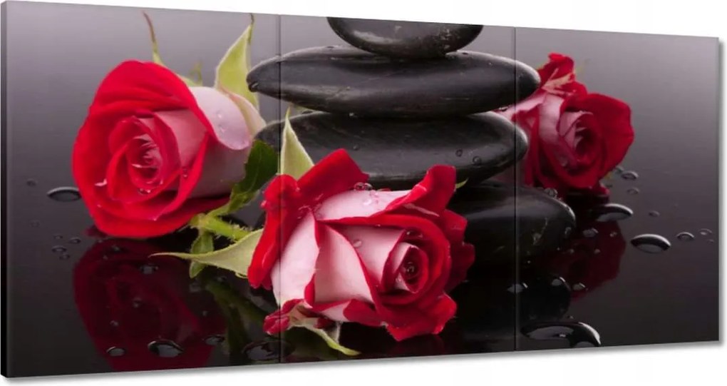 Vászonkép 60x30 Rózsák a kövek körül
