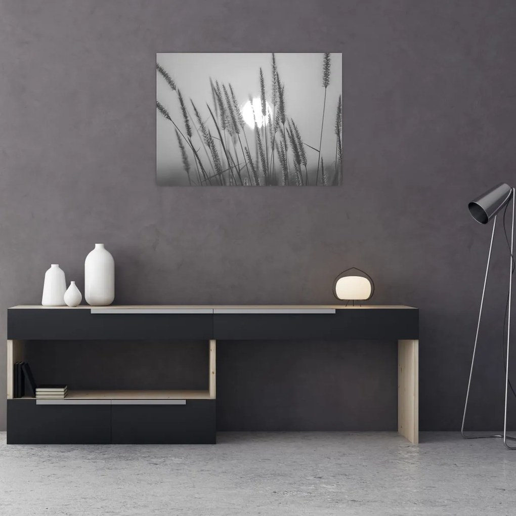 Üveg kép - Mező naplementében (70x50 cm)