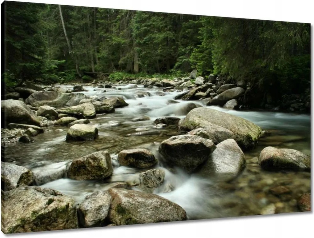 Vászonkép 90x60 Tátra Lengyel hegyek Kilátás