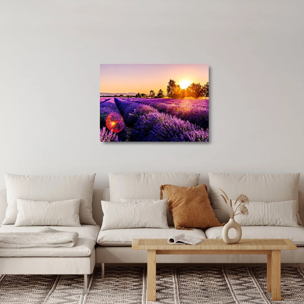 A levendula mező képe, Provence (üvegen) (70x50 cm)