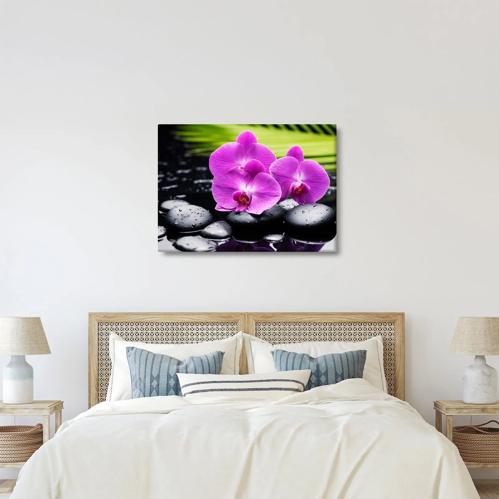 Kép - Orchideák (70x50 cm)
