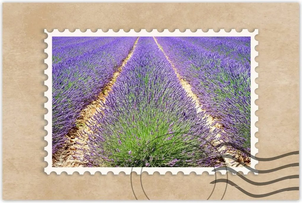 Poszterek 60x40 Levendula