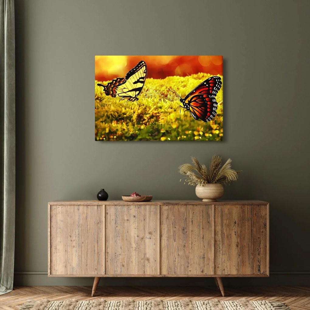 Pillangó képe (90x60 cm)