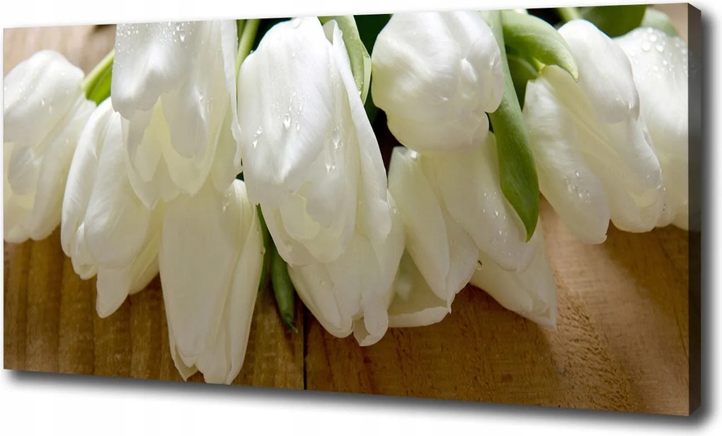 Vászonkép Fehér tulipánok 100x70 cm
